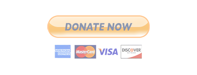 paypal-buy-now-button-disabled